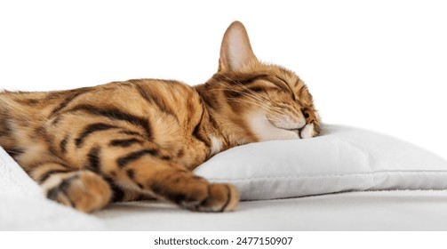 2025337期开奖号码正式公布,快来看看你中奖了吗?