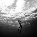 2025305期开奖结果查询与最新公布详情 1jgb11lmu