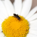 2025273期3D开奖号码震撼公布,速来查看中奖详情! 418ou