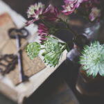 2025248期开奖结果最新公布与详细分析 6txdkw