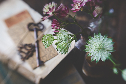 2025248期开奖结果最新公布与详细分析