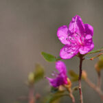 2025302期最新开奖信息及中奖号码公布 7eo46mhl1k