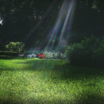 47748开奖记录最新完整版历史数据查询 9fha21i