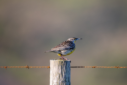 2025267期3D开奖结果最新公布,快来看看你中奖了吗?