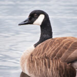 2025352期开奖号码公布及详细结果查询 l5z64gmw5