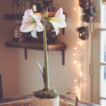 2025295期开奖结果正式公布,快来看看你中奖了吗? nbewf6g