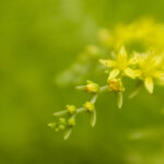 2025308期开奖结果公布最新中奖号码查询 p7lwv7