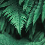 48777开奖结果查询网-最新最快开奖信息实时更新 w8jwp9