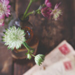 2025253期开奖结果公布:幸运号码正式揭晓 wfx67