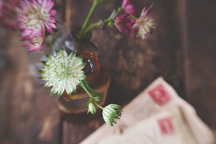 2025253期开奖结果公布:幸运号码正式揭晓