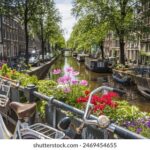 488kj开奖结果揭晓,幸运号码震撼出炉 ztqe73o6